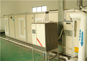 恒溫恒濕凈化送風柜