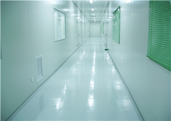 潔凈室走廊PVC防靜電地板