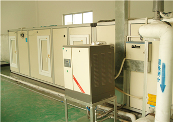 恒溫恒濕凈化送風柜