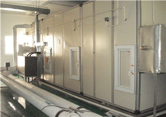 恒溫恒濕凈化送風柜